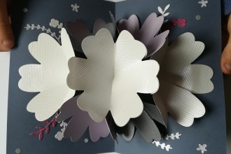 Carte-pop-up-fleurs-1